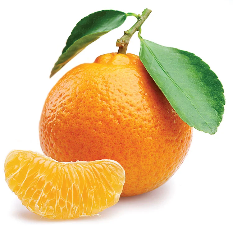 Close-up image of a tangerine, showcasing its textured peel and vibrant color.